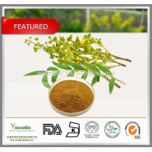 100% Natural Senna leaf extract 10:1 20:1, Folium Sennae P.E., Sennosides powder 8% 20%